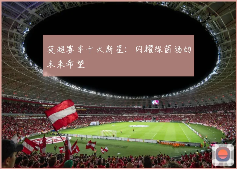 英超赛季十大新星：闪耀绿茵场的未来希望