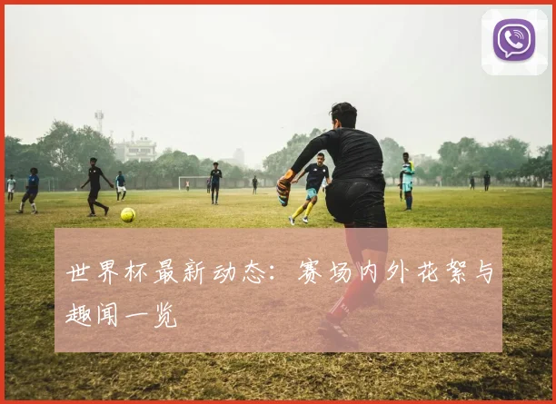 世界杯最新动态：赛场内外花絮与趣闻一览